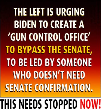 Left is urging Biden to create a 'Gun Control Office'