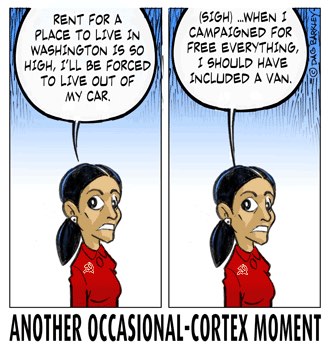 Another Occasional Cortex Moment