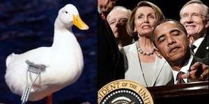 Shoot the lame duck and focus on 2015