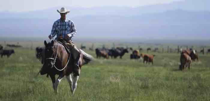 The Last Cowboy At Pine Creek Ranch