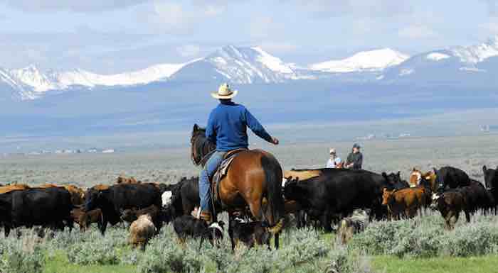 Federal government's war against western ranchers and property owners