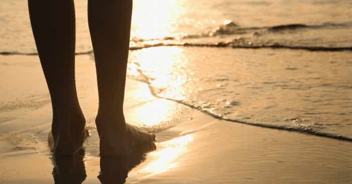 What Scary Sea Level Rise? - Vimarsana News