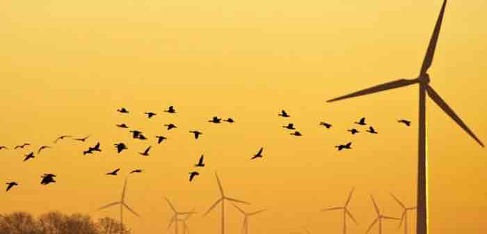 Wind Power: Negative Effect on Global Warming in the Short Term