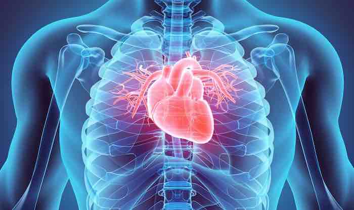 Believing Myths is Bad for Your Heart