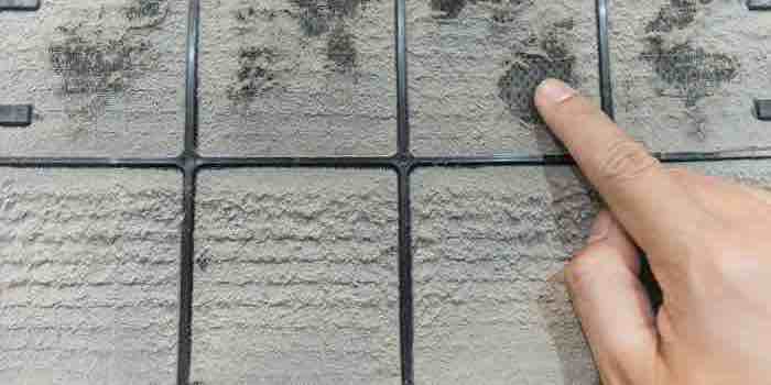 Do You Want to Know What’s in Your Ducts