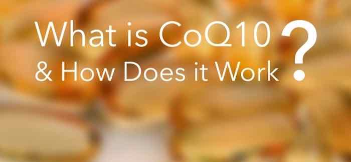 10 Facts You Should Know About Coenzyme Q10