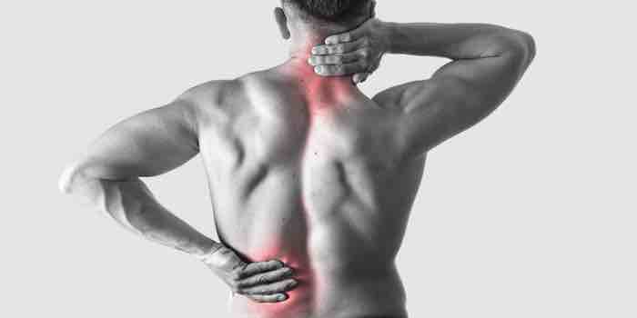 Are Your Facet Joints Causing You Pain?