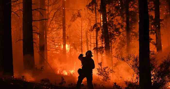 Fight fires with facts – not fake science
