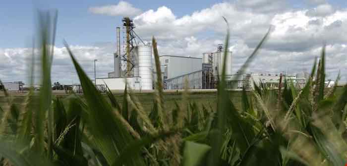 EPA reductions in biodiesel mandates