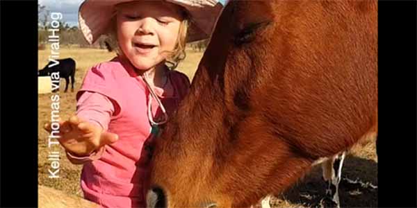 The horse is eating that affection up - Vimarsana News