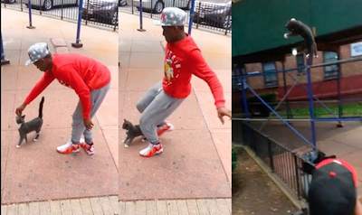 kicking cats