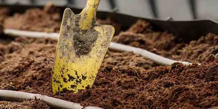 GHOULISH GARDNERS REJOICE! HUMAN COMPOSTING IS NOW A THING