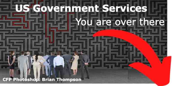The Maze of Government Services