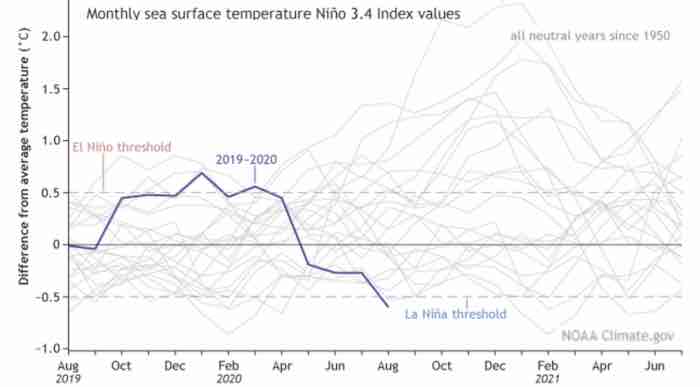 Monthly Sea Surface Temperature
