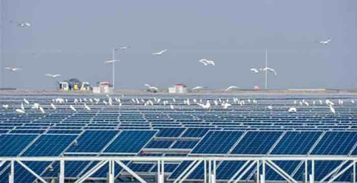 China Joins Other Countries in Reducing Subsidies for Solar Power