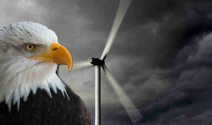 Wind Turbines Against Nature
