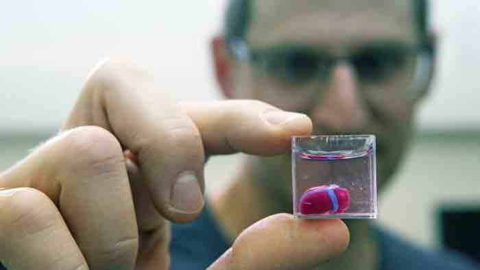 A Tel Aviv University researcher holds the first 3D-printed vascularized heart,