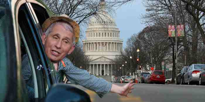 Fauci, the political scientist, rolls on down 
the road