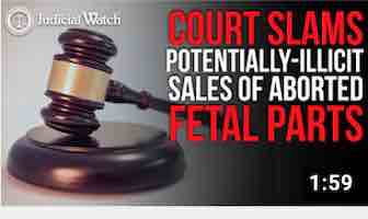 Federal Court Slams Potentially Illicit Sales of Aborted Fetal Parts