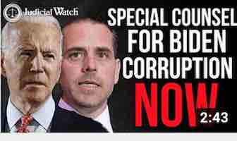 SPECIAL COUNSEL FOR BIDEN! NOW!
