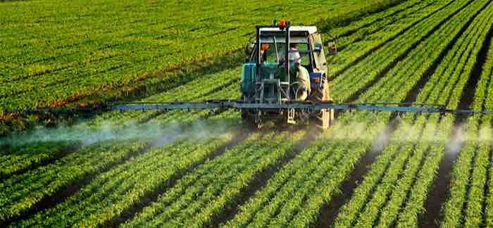 Plants and Pesticides - Vimarsana News