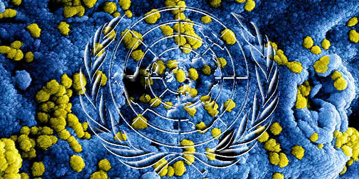 Fight the Coronavirus by Defunding the United Nations 