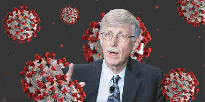 Dr. Francis Collins, NIH Director in the Middle of China Virus Scandal