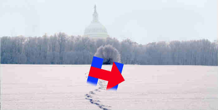 Follow the tracks in the snow to the Birthers