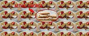 USDA issues new S'mores guidlines - involving strawberries and lowfat vanilla yogurt