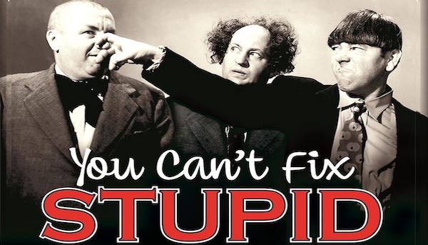 You Can't Fix Stupid!