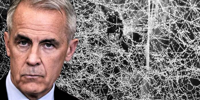 Oh, What a Tangled Web We Weave