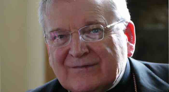 Cardinal Burke: Pope Francis is increasing the confusion in the Church