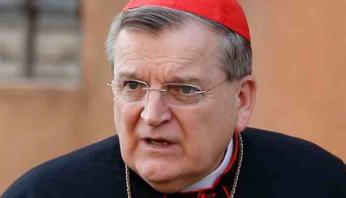 Cardinal Burke Cites Amazon Synod as a Direct Attack on Christ