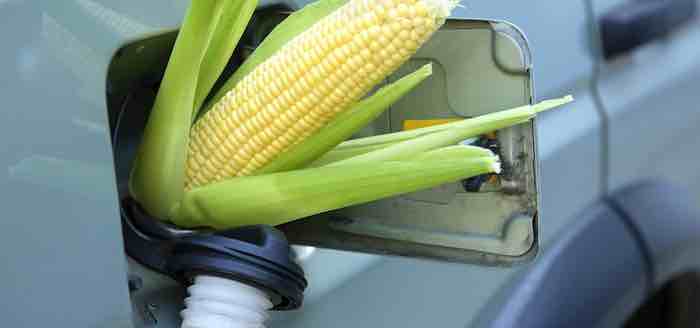 Gasoline—not corn alcohol—belongs in our fuel tanks!