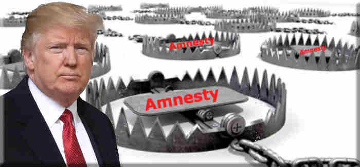 Trump and the Amnesty Trap