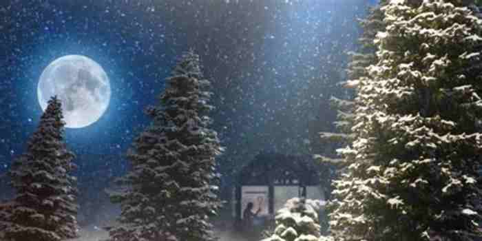 A Christmas Night