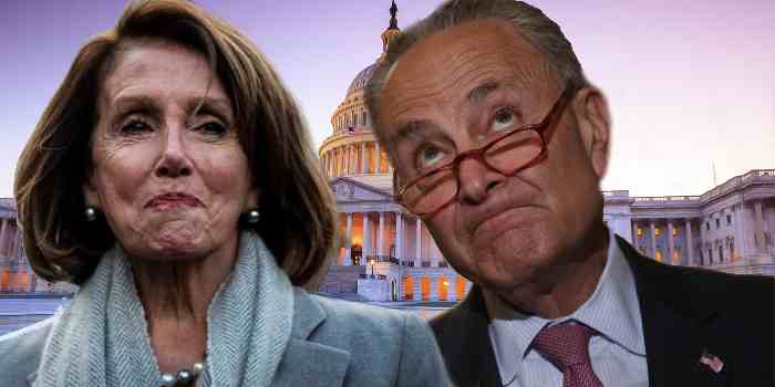 How to Dump the Pelosi-Schumer Cabal Today