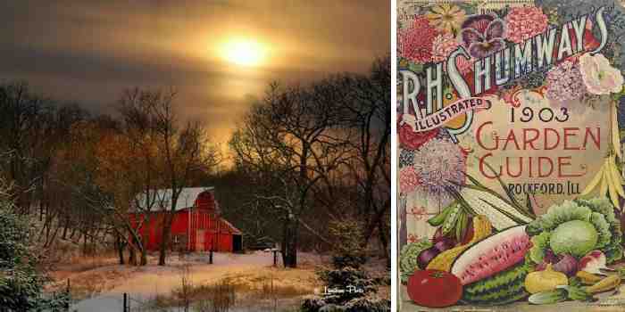 Seed catalogs