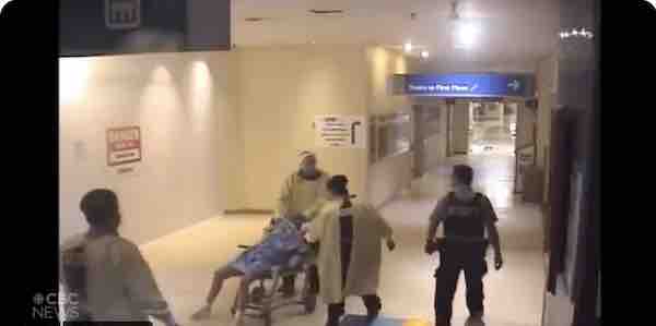 Family of Stephanie Warriner files $16M lawsuit against hospital, guards over alleged 'reckless' force - Vimarsana News
