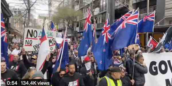 Thousands Gather Outside New Zealand Parliament to Protest Pandemic Response