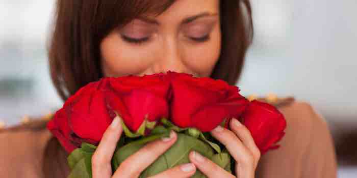 VALENTINES DAY: ON THE SCENT