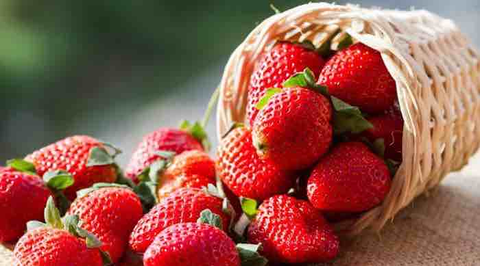 Strawberries are not Berries