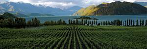 New Zealand Offers More Than Hobbits and Sauvignon Blanc