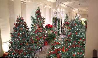 WATCH: First Lady unveils 2020 Christmas decorations!